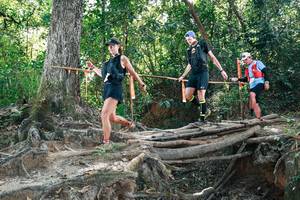 BIB: 
                            <button type="button" onclick="openModal(27746185)" class="btn btn-primary btn-sm float-right btn-popup" data-toggle="modal" data-target=".modal-high-quality">
                        <i class="fas fa-shopping-cart"></i> Add to Cart
                    </button>
                                            <button type="button" onclick="isThisMe(27746185, true)" class="btn btn-success btn-sm float-right btn-popup btn-isme hidden" data-toggle="tooltip" data-placement="bottom" title="นี่คือรูปของคุณใช่ไหม คลิกที่นี่เพื่อเอาเข้าอัลบั้ม">
                        <i class="fas fa-plus"></i> Add to album
                    </button>
                    <button type="button" onclick="isThisMe(27746185, false)" class="btn btn-warning btn-sm float-right btn-popup btn-isnotme hidden">
                        <i class="fas fa-ban"></i> Remove from album
                    </button>